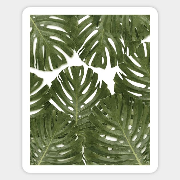 Monstera Leaf Sticker by StudioGrafiikka